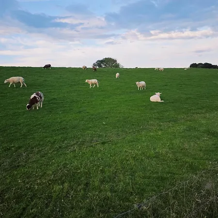 Ferienwohnung Bollerbue An Der Elbe *